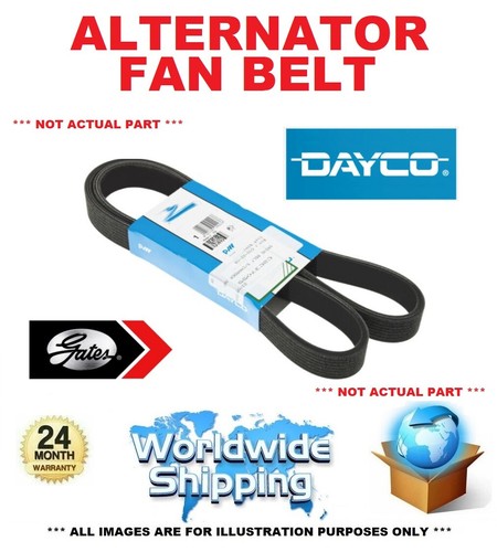 Alternator fan belt - alternator, for