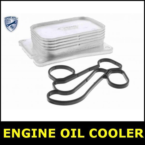 Engine oil cooler - oil,