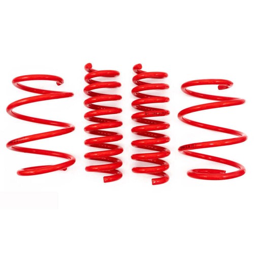 Maxx lowering springs for - v-maxx,