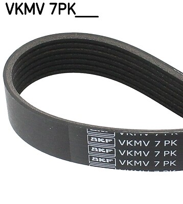 Skf multi drive belt - skf, for